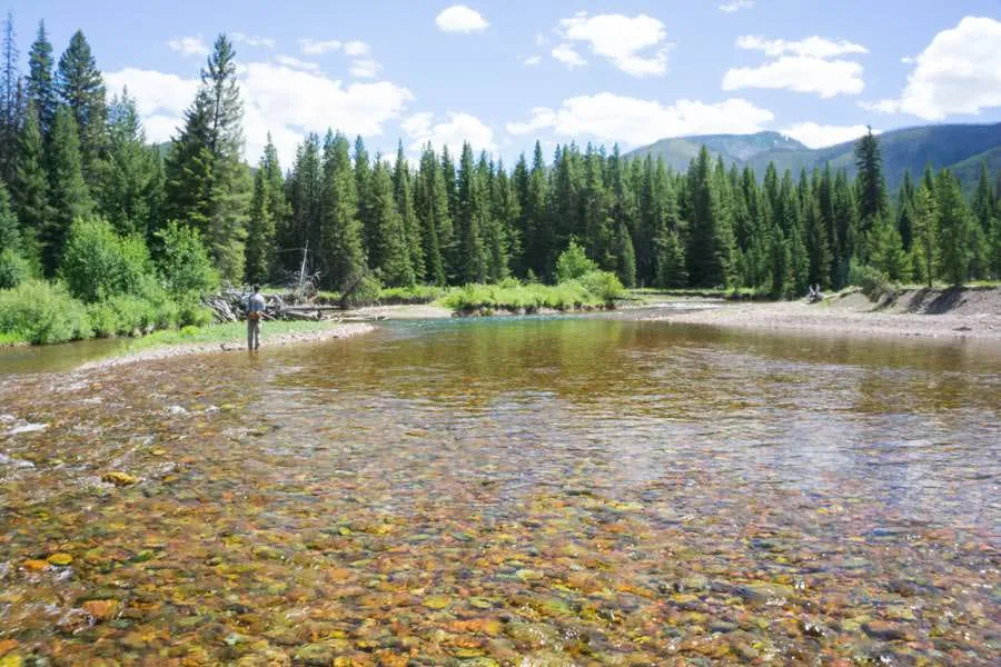 South Fork Flathead overnight camp trips