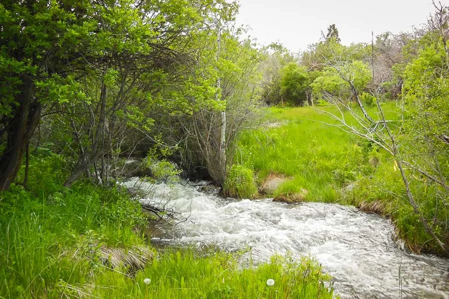 Montana Fishing Lodges, Montana Fishing Rentals