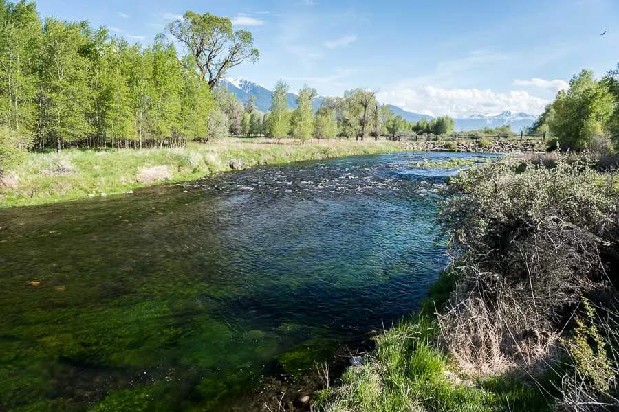 creek view