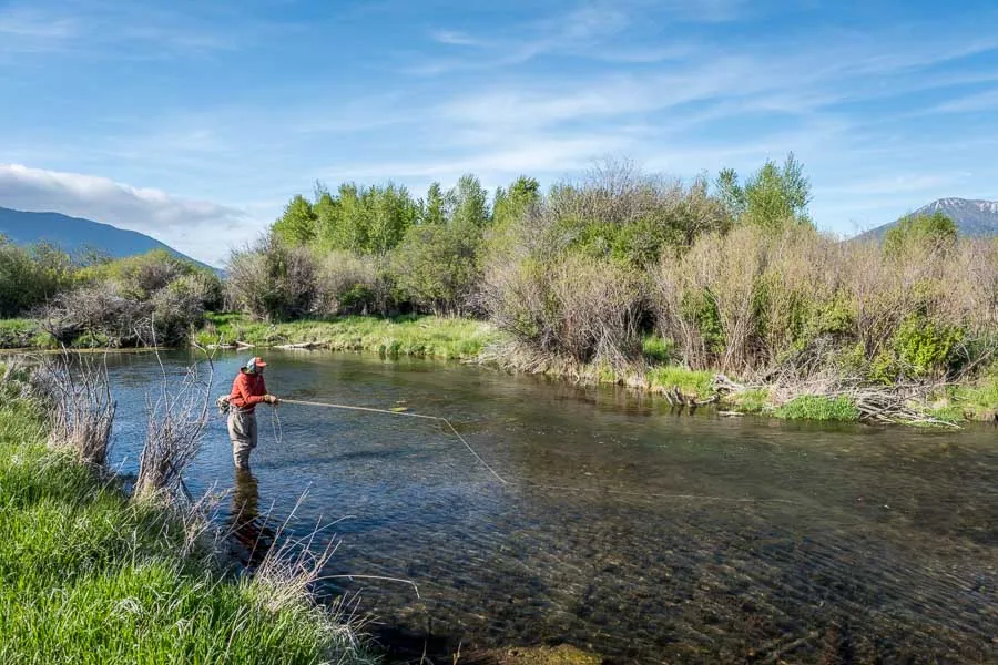 fly fishing armstrong creek