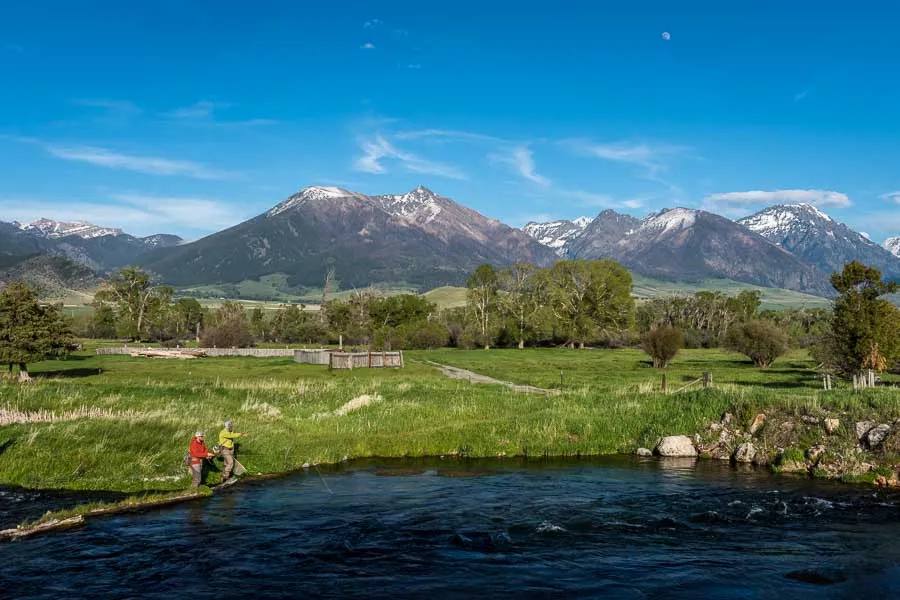 DePuy Spring Creek