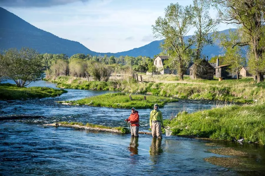DePuy Spring Creek