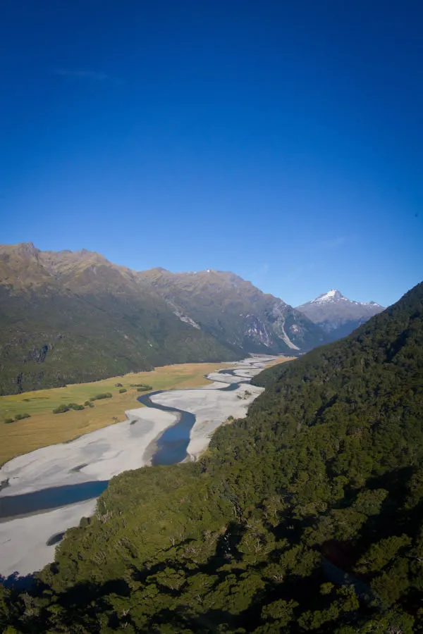 new zealand fly fishing