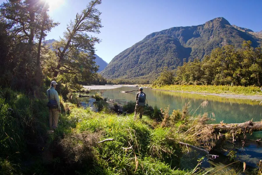 new zealand fly fishing
