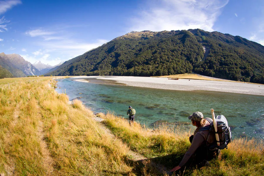 Sight casting in NZ
