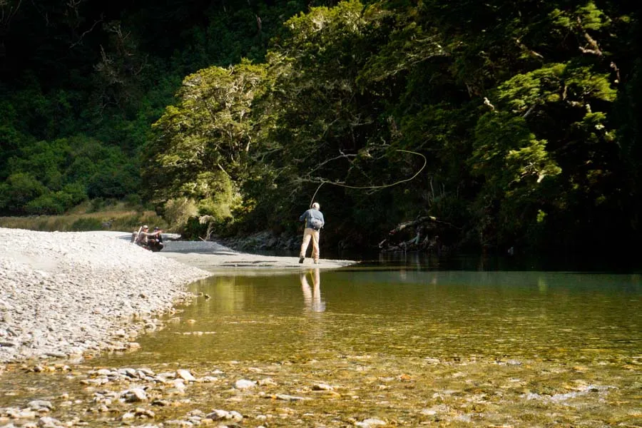 fishing in new zealand