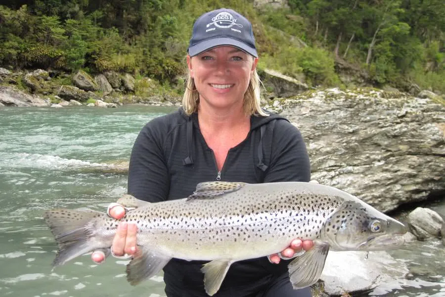 NZ rainbow trout