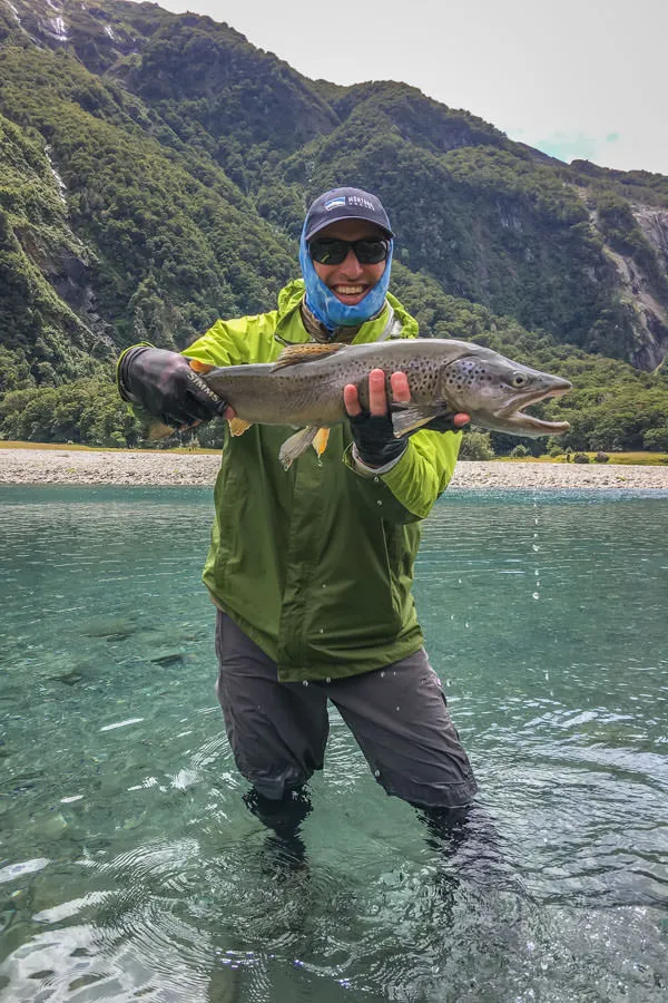 another nice brown