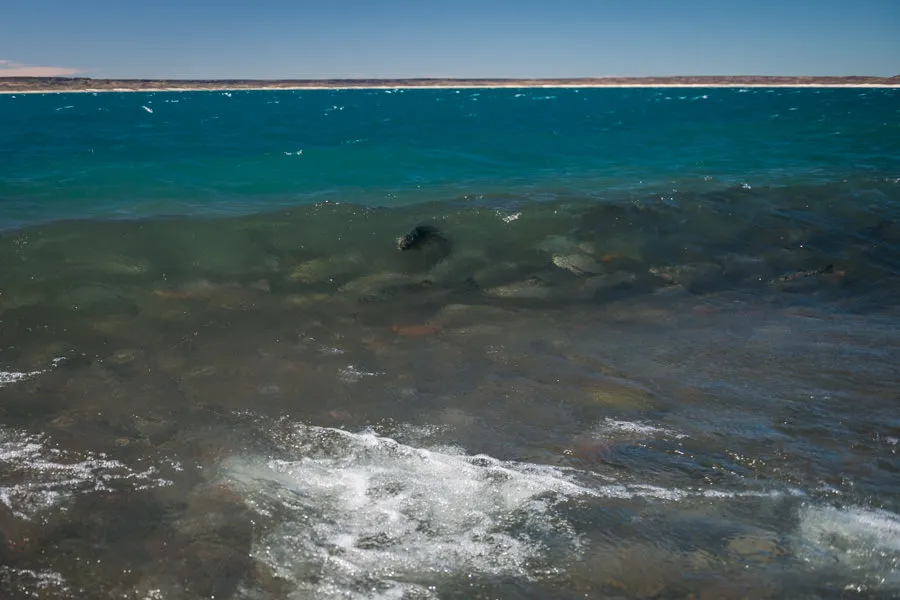 River Mouth Argentina