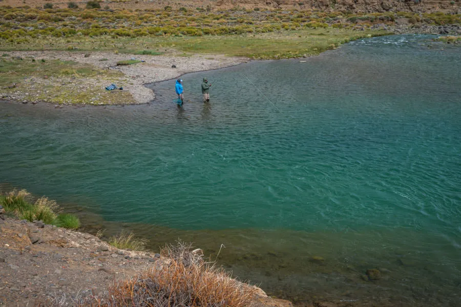 Fishing the Pool