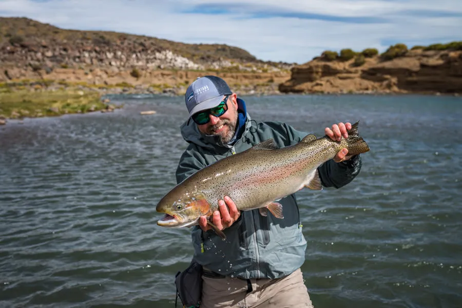 big bow