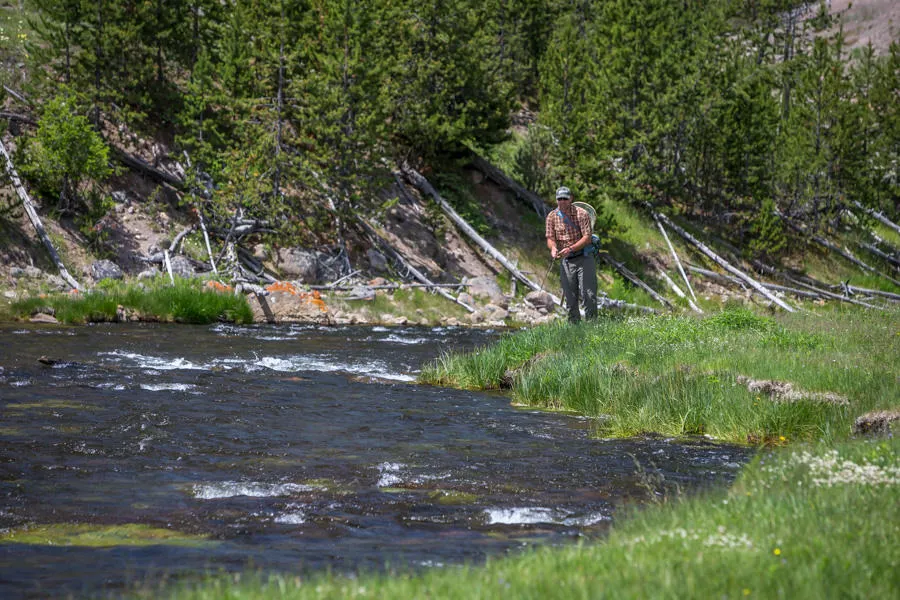 fishing yellowstone national park