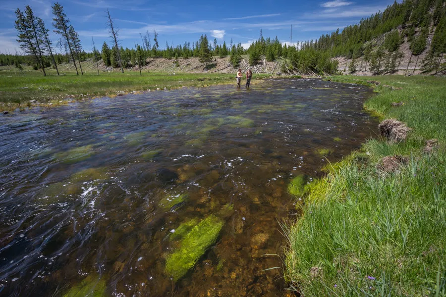 summer fishing in yellowstone park
