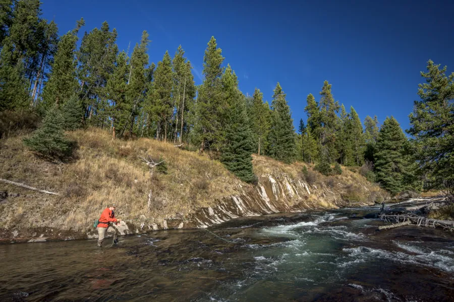 fishing small streams in Yellowstone Park