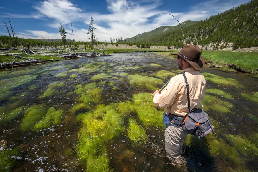 catching fishing on the Gibbon River