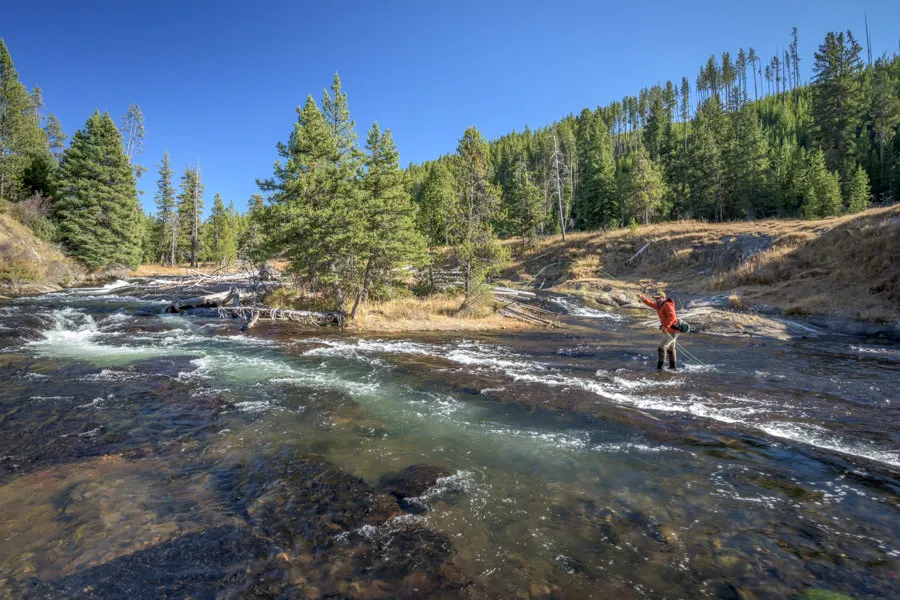 when to fish Yellowstone Park