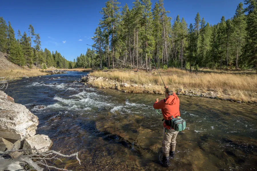 Yellowstone National Park fly fishing guides