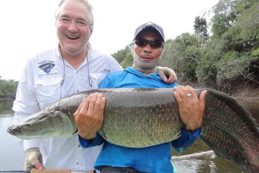 Aripima fishing