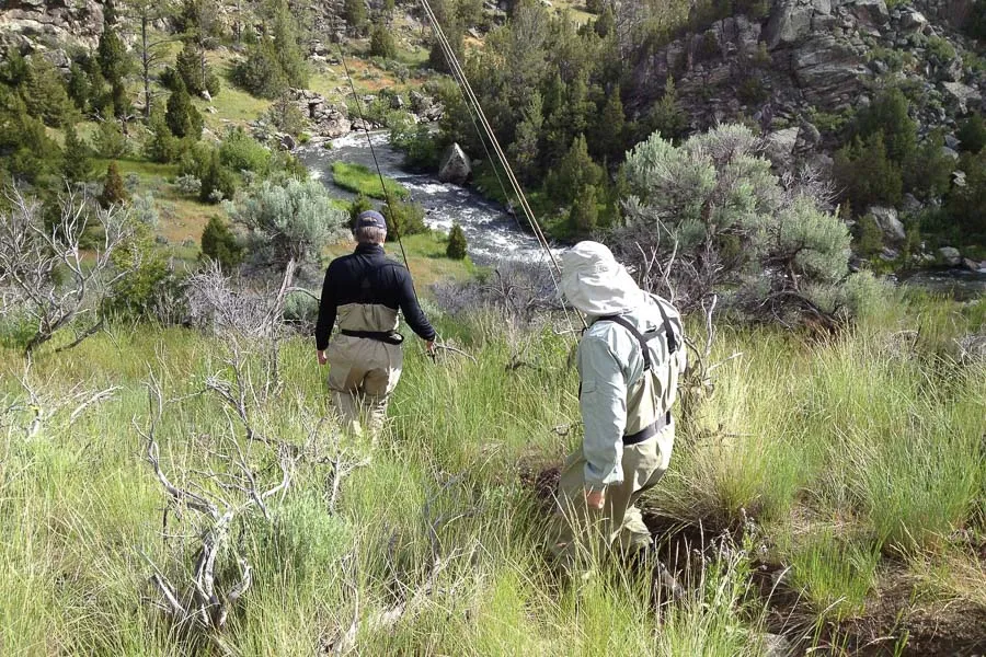 Montana Fishing Guides, Montana Angler