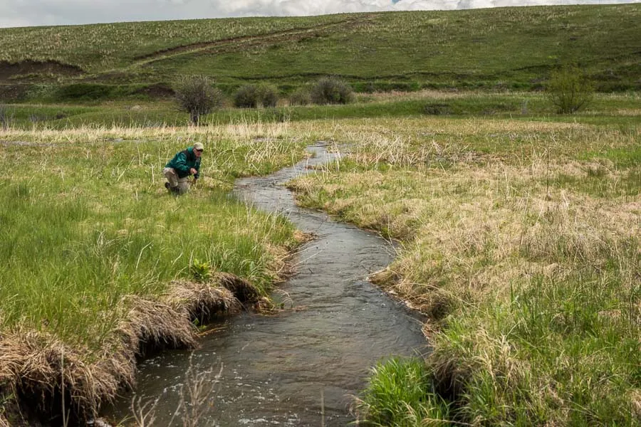 Spring Creek Fly Fishing