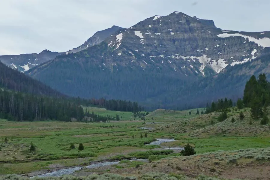 Yellowstone National Park Trips