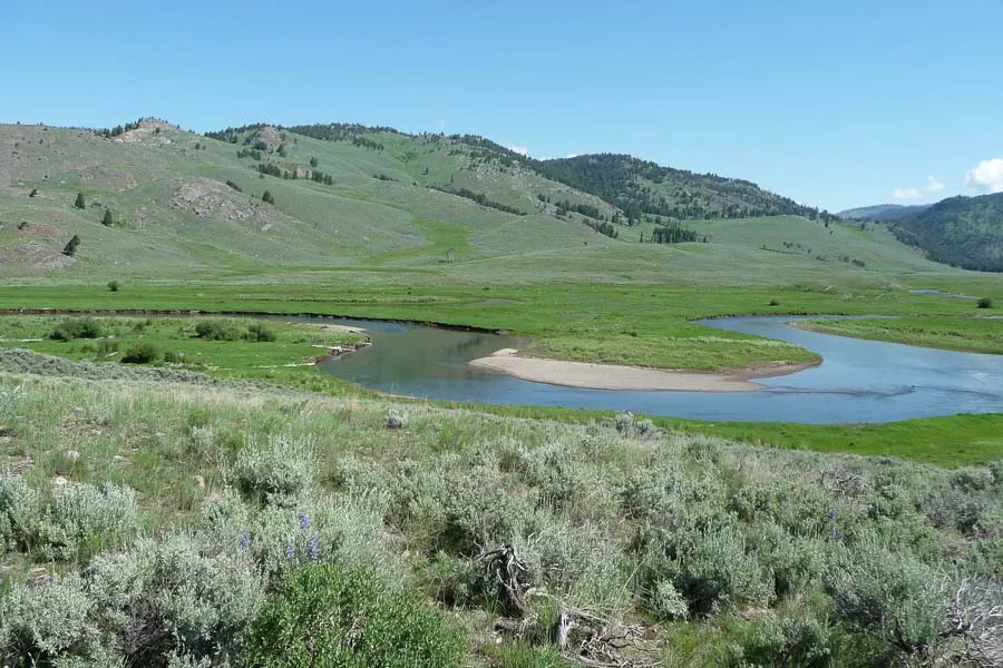Yellowstone Park Fly Fishing