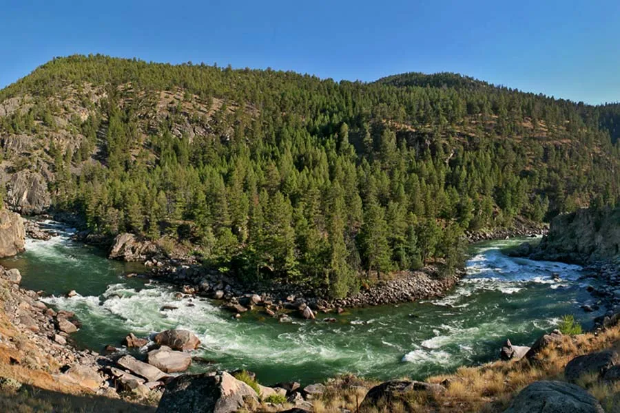 Fly Fishing in Yellowstone Park