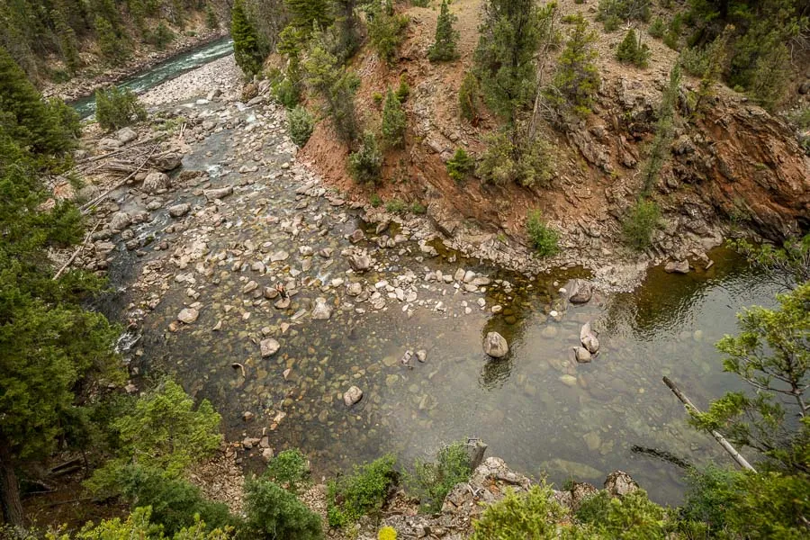 Montana Angler, Yellowstone National Park