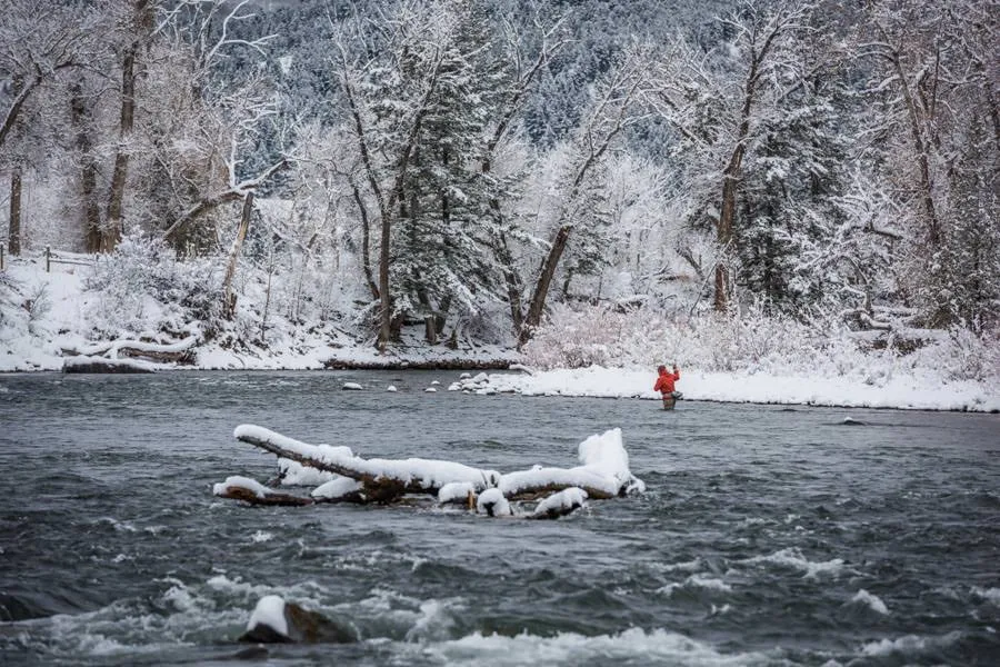 Gallatin River winter fly fishing guides
