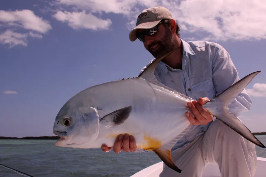A fooled permit