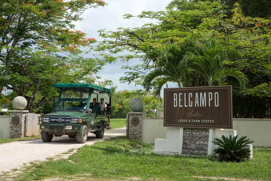 The trucks and farm at Belcampo