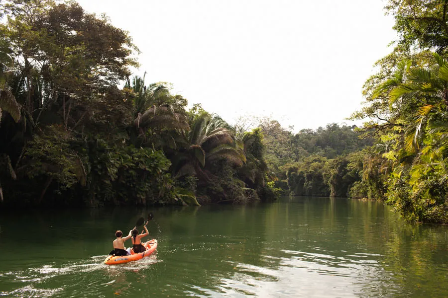 Kayaking in a river in Belize