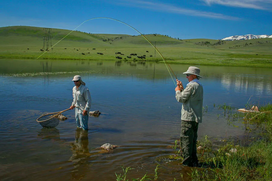 Montana Trophy Trout