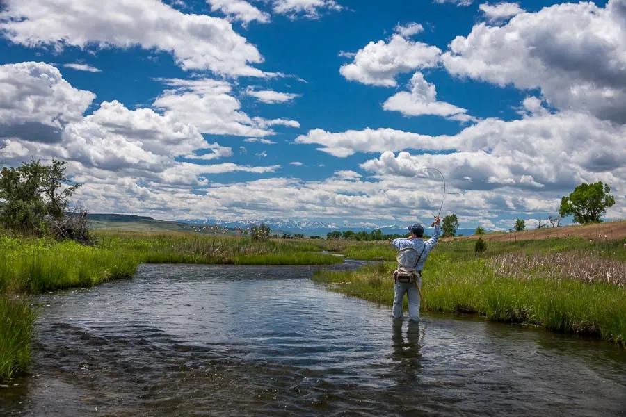 Montana Full Day Wade Trip