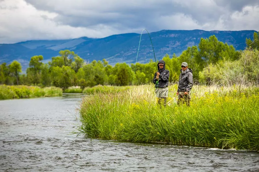 Montana Wade Fishing Trips