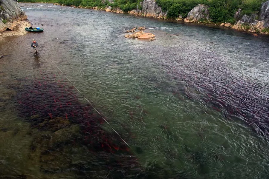 Montana Angler Hosted Fly Fishing Trips