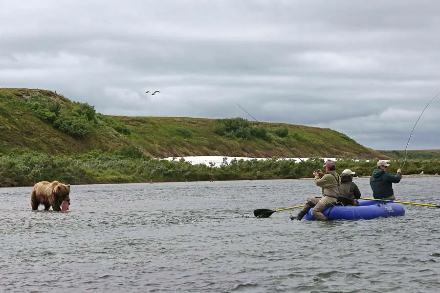 Montana Angler, Montana Fly Fishing