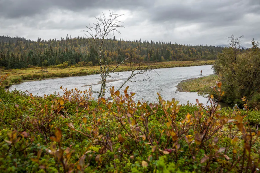 Copper River