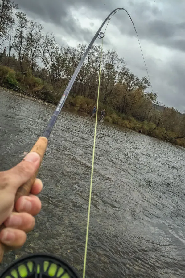 Double in Alaska