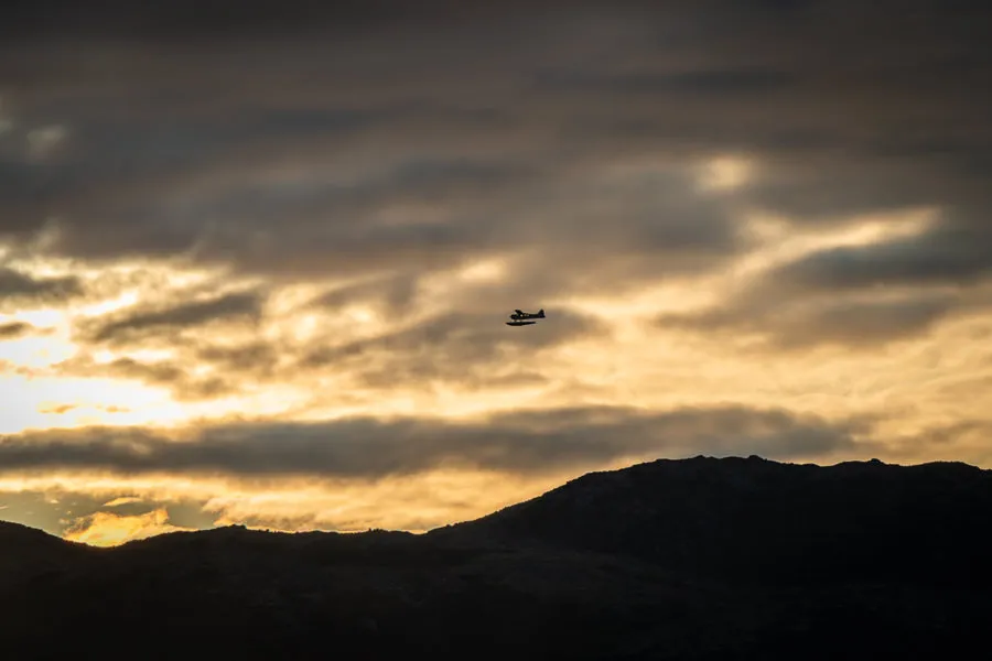 Morning flight