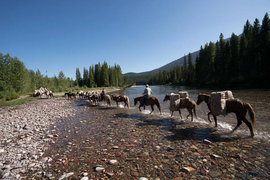 Pack Train