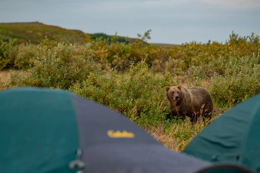 camping