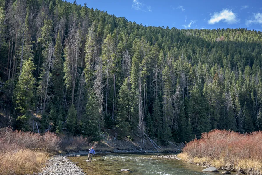yellowstone park fly fishing