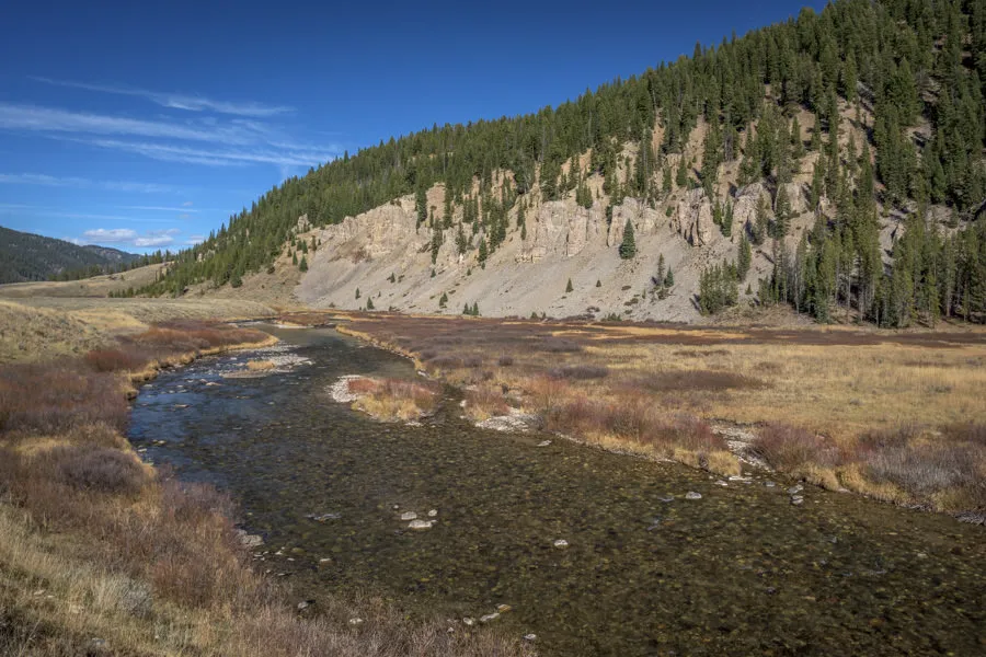 best time to fish yellowstone national park