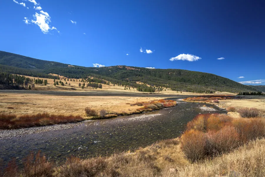 yellowstone park fly fishing