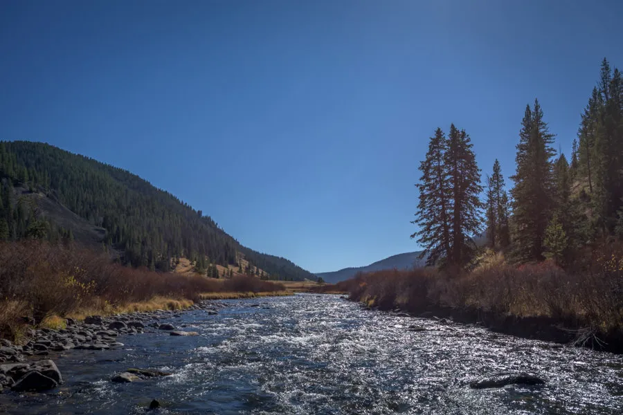 yellowstone park fly fishing