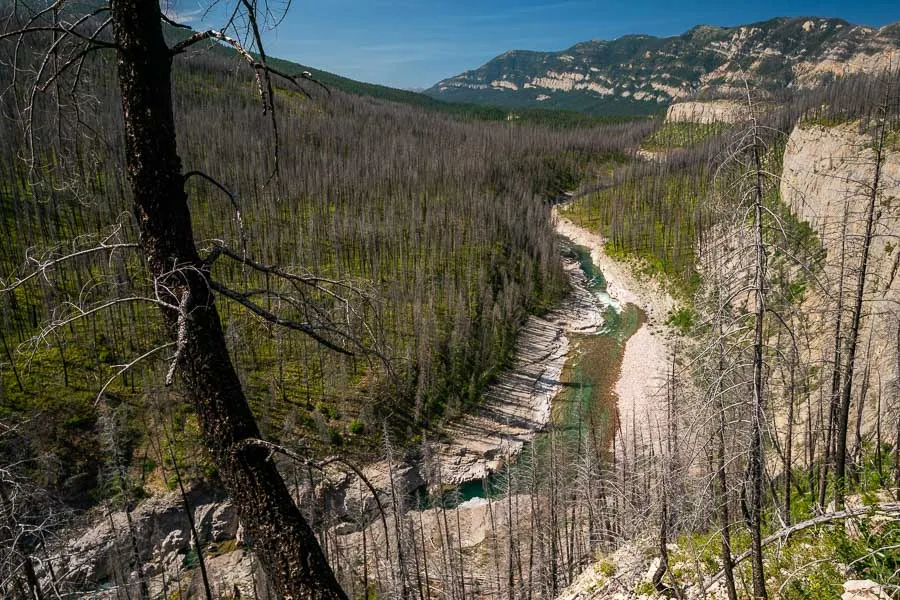 South Fork
