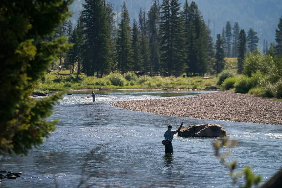 wade fishing