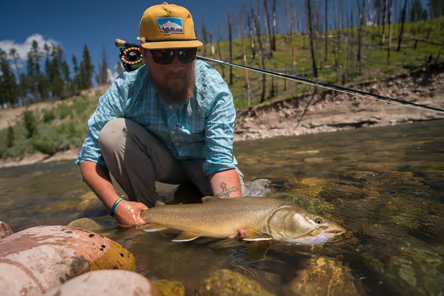 big bull trout montana
