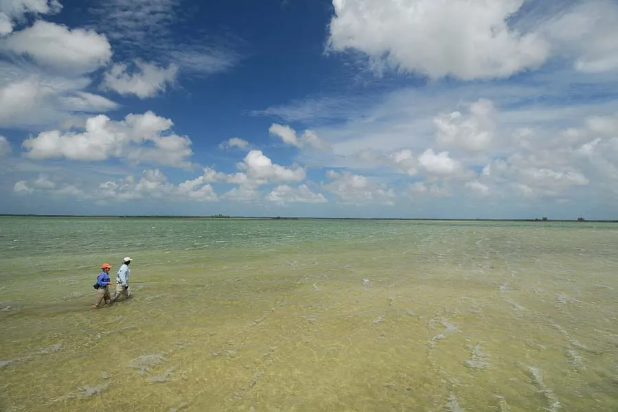 Montana Angler Bahamas Fishing